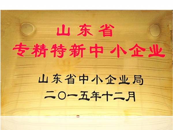 山東省專精特新中小企業(yè)